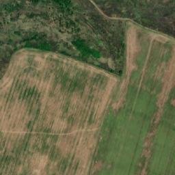 Satellite imagery of TT63, RO