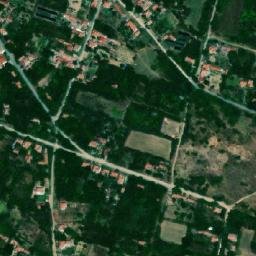 Satellite imagery of TT40, RO