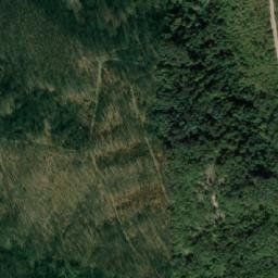 Satellite imagery of Bazičko Bilo, RS