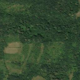 Satellite imagery of Radičevska Potoka, RS