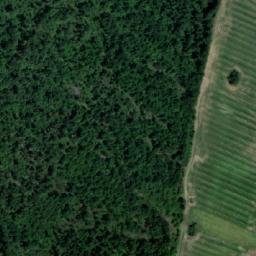 Satellite imagery of TT12/XXXV/, RO