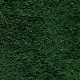 Satellite imagery of Pešter, BA