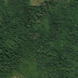 Satellite imagery of Radičevska Potoka, RS