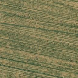 Satellite imagery of TT41, RO