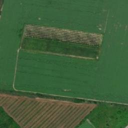 Satellite imagery of TT49/XXVI/, RO