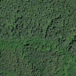 Satellite imagery of Scholfield Ridge, US