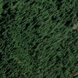 Satellite imagery of Downing Point, US