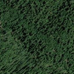 Satellite imagery of Downing Point, US
