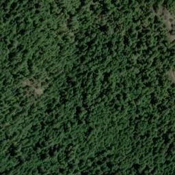Satellite imagery of Downing Point, US