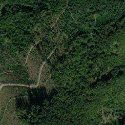 Satellite imagery of Pčela, RS