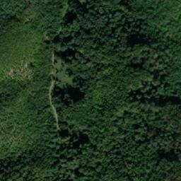 Satellite imagery of Pčela, RS