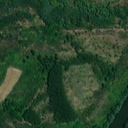 Satellite imagery of TT42, RO