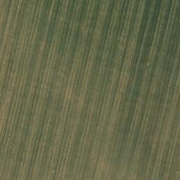 Satellite imagery of TT3131, RO