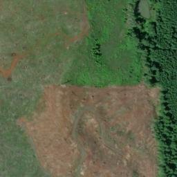 Satellite imagery of Fern Ridge, US