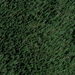 Satellite imagery of Downing Point, US