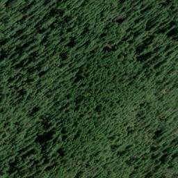Satellite imagery of Downing Point, US