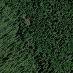 Satellite imagery of Downing Point, US