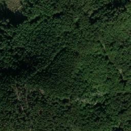 Satellite imagery of Pčela, RS