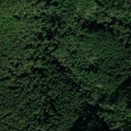 Satellite imagery of Pčela, RS