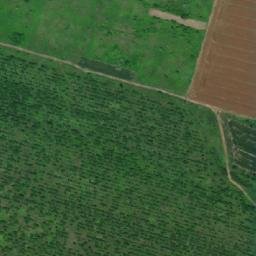 Satellite imagery of TT28, RO