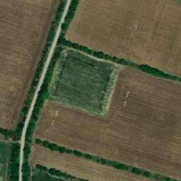 Satellite imagery of TT61, RO