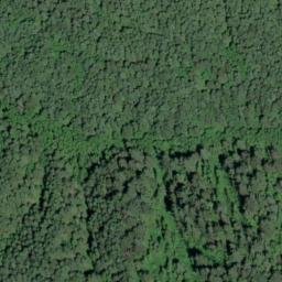 Satellite imagery of Scholfield Ridge, US