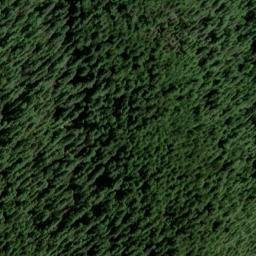 Satellite imagery of Downing Point, US