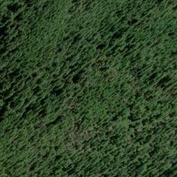 Satellite imagery of Downing Point, US