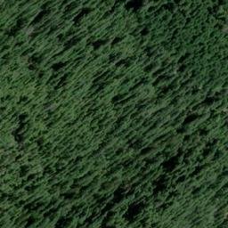 Satellite imagery of Downing Point, US