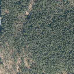 Satellite imagery of Bear Point, US