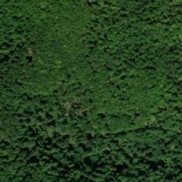 Satellite imagery of Pastorak, BA