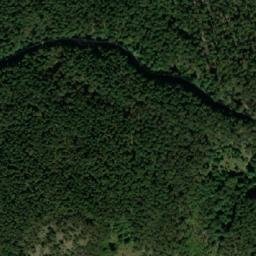 Satellite imagery of Pčela, RS