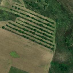 Satellite imagery of TT29, RO