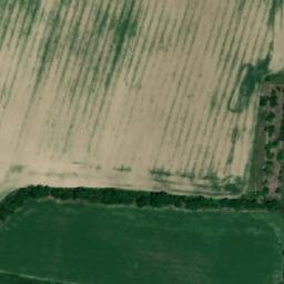 Satellite imagery of TT61, RO