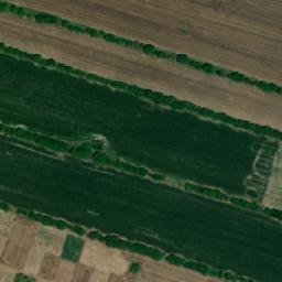 Satellite imagery of TT61, RO