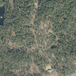 Satellite imagery of Walker Point, US