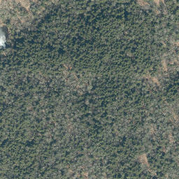 Satellite imagery of Bear Point, US
