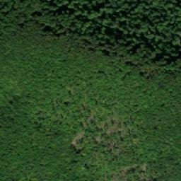 Satellite imagery of Pastorak, BA