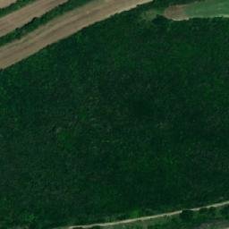 Satellite imagery of TT24, RO