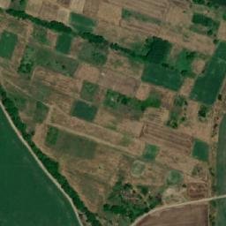 Satellite imagery of TT61, RO