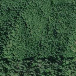 Satellite imagery of Bell Ridge, US