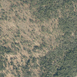Satellite imagery of Walker Point, US