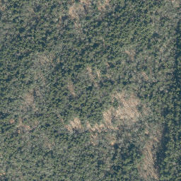Satellite imagery of Bear Point, US