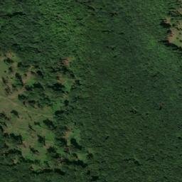 Satellite imagery of Pečano Bilo, RS