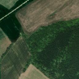 Satellite imagery of TT33/XXXVIII/, RO