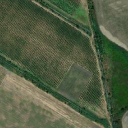 Satellite imagery of TT15, RO