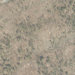 Satellite imagery of French Point, US