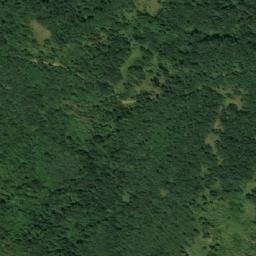 Satellite imagery of Gorunjčje, RS