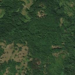 Satellite imagery of Gorunjčje, RS