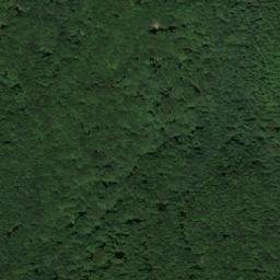 Satellite imagery of Pečano Bilo, RS